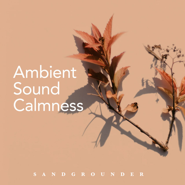 Ambient Sound Calmness cover art