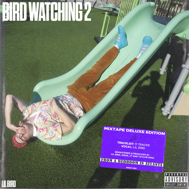 Bird Watching 2 cover art