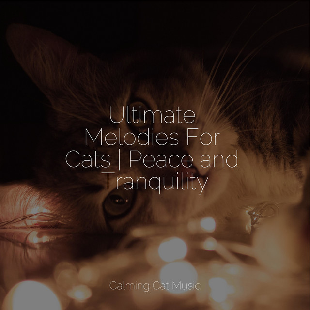 Ultimate Melodies For Cats | Peace and Tranquility - Album by Jazz ...