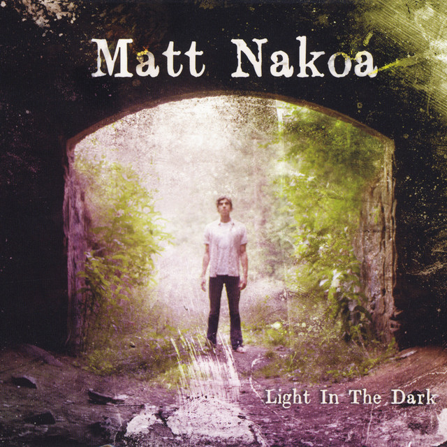 Light in the Dark cover