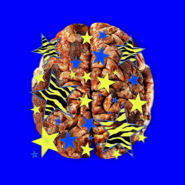 brainrot cover art
