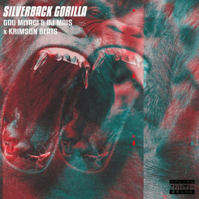 Silverback Gorilla