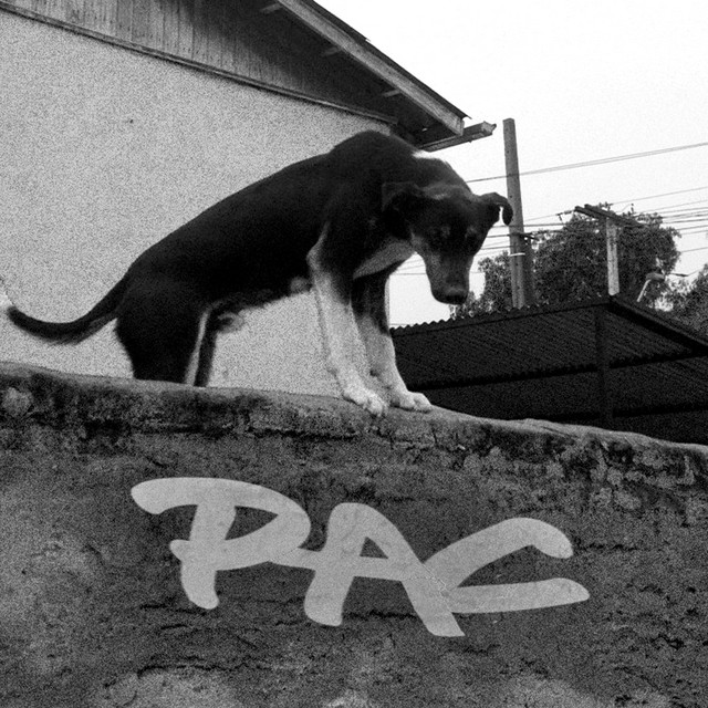P.A.C cover art