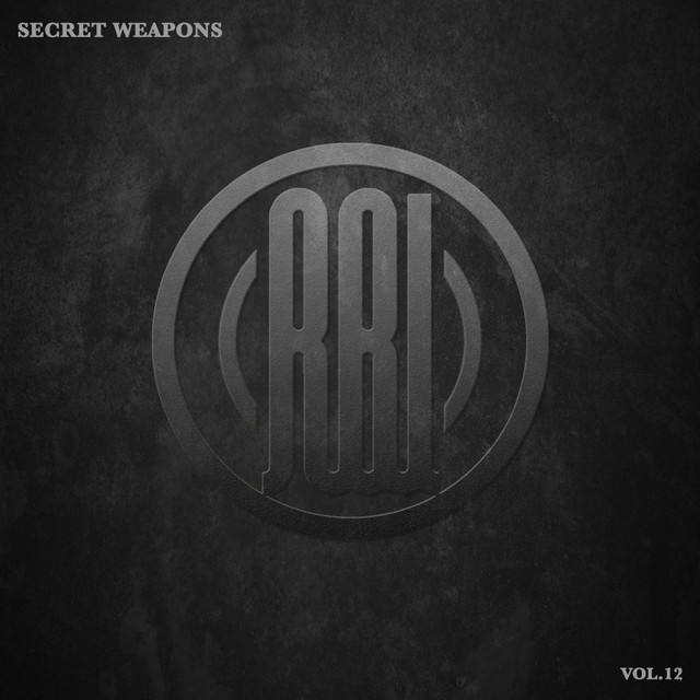 Secret Weapons, Vol.12 cover art
