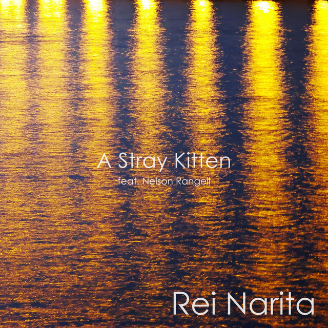A Stray Kitten