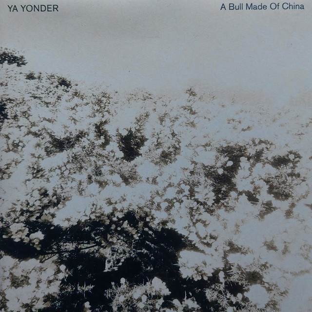 A Bull Made of China cover art