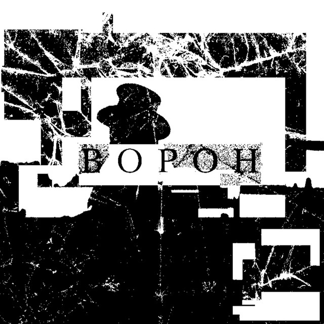 Обкладинка: Ворон — энтропия