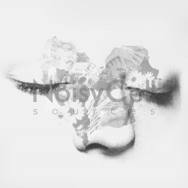 Sources cover art