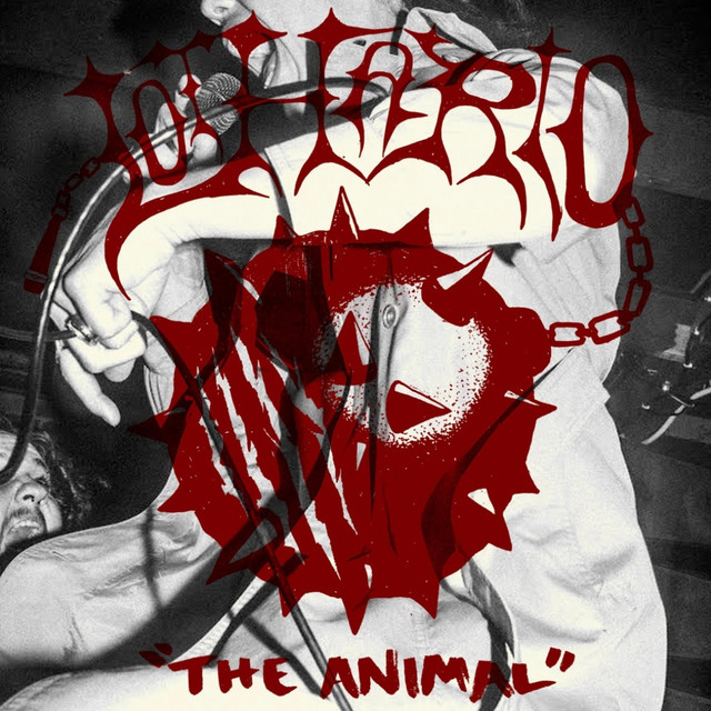 The Animal cover