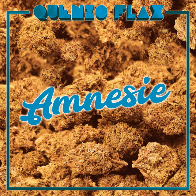 Amnesie cover