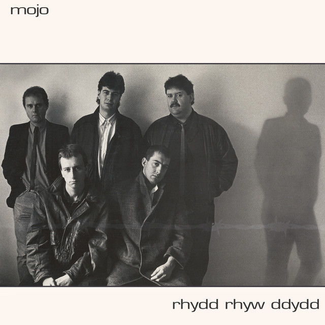 Rhydd Rhyw Ddydd cover art