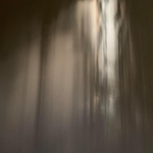 Tree of Life cover art