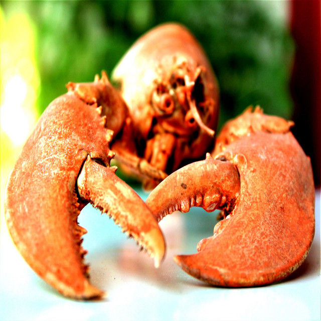 Lobster Served cover art