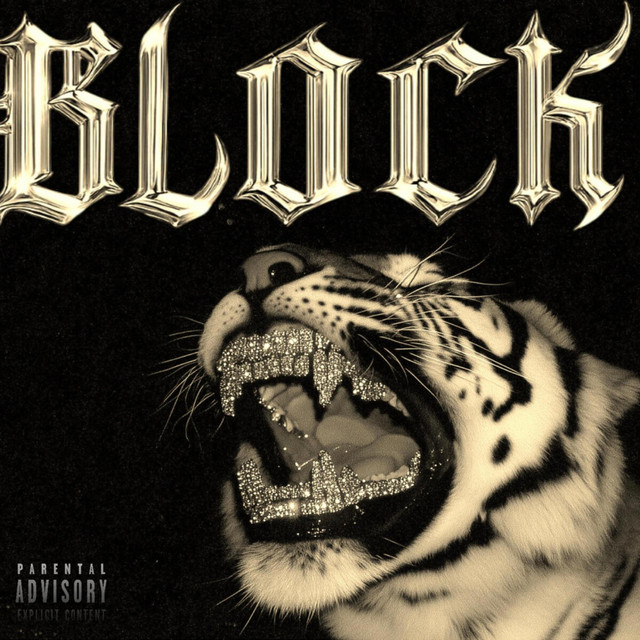 BLOCK cover art