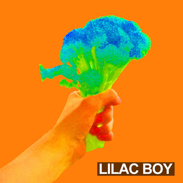 Bouquet cover art