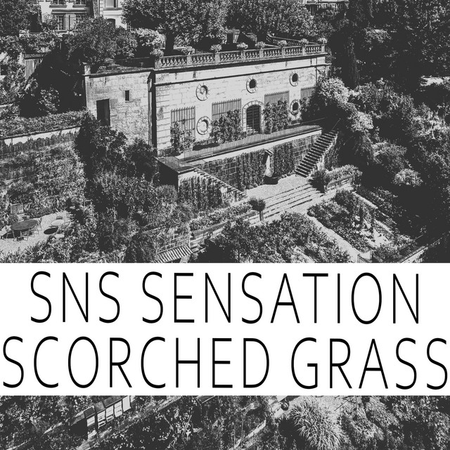Scorched Grass cover