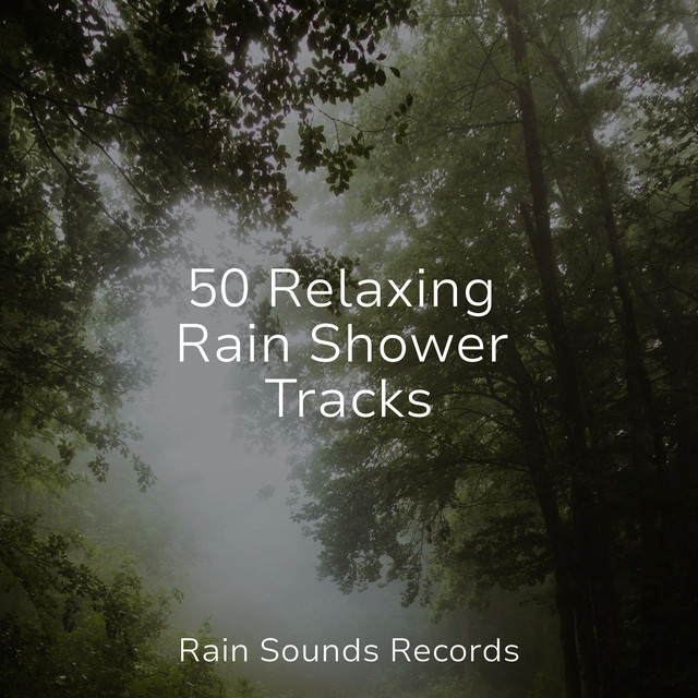 50 Relaxing Rain Shower Tracks - Album by Lullabies for Deep Meditation ...