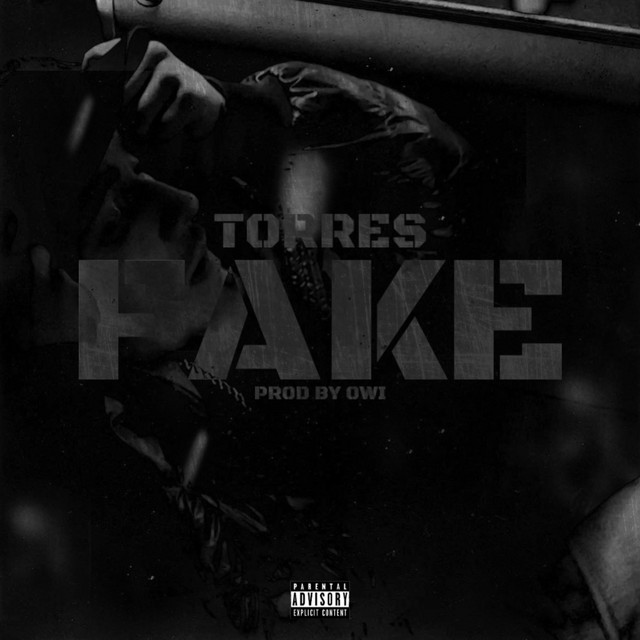 FAKE cover art