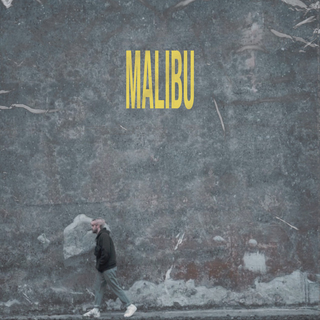 Malibu cover