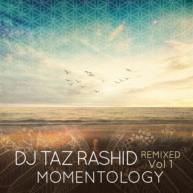 Gold Flow - Ali Embry & Momentology Remix cover art