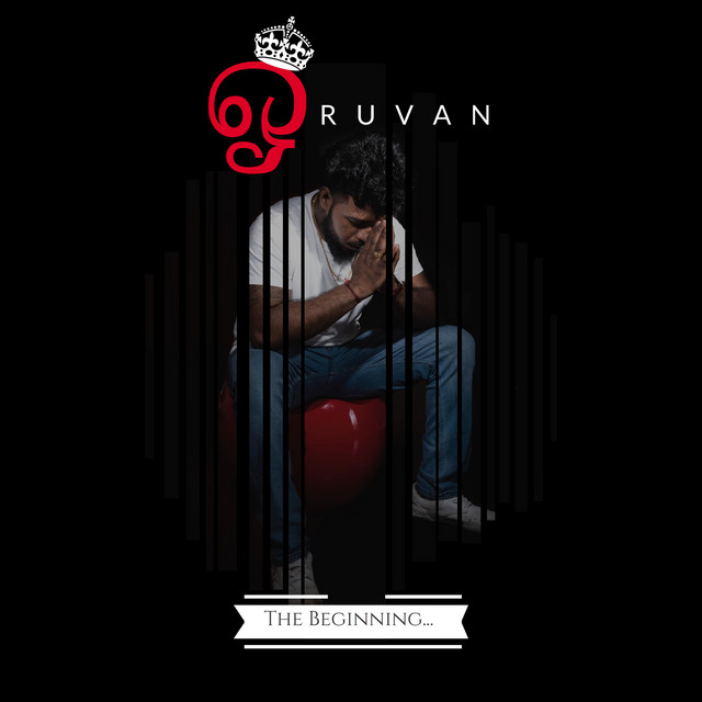 The Beginning... cover art