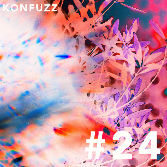 #24 cover