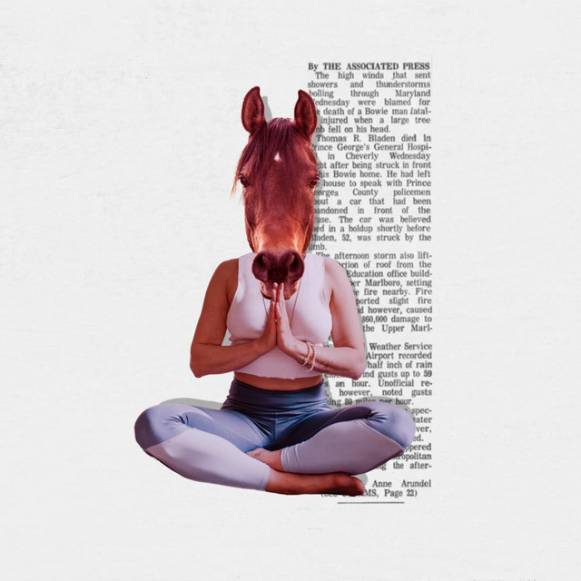 Kangaroo Days cover
