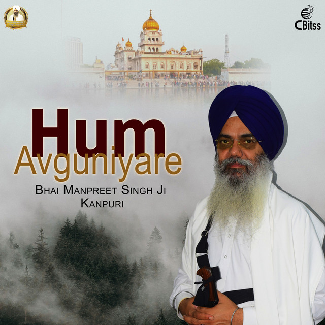 Hum Avguniyare album image
