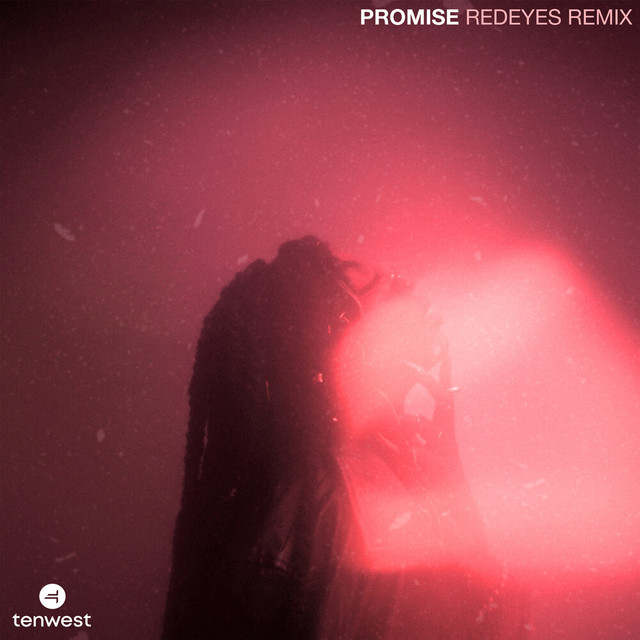 PROMISE (Redeyes Remix)