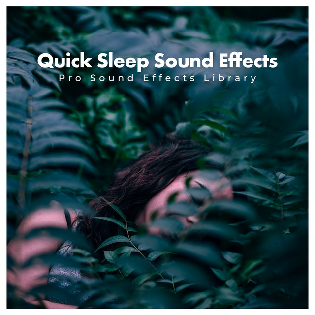 Quick Sleep Sound Effects - Album by Pro Sound Effects Library | Spotify