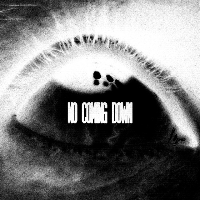No Coming Down cover