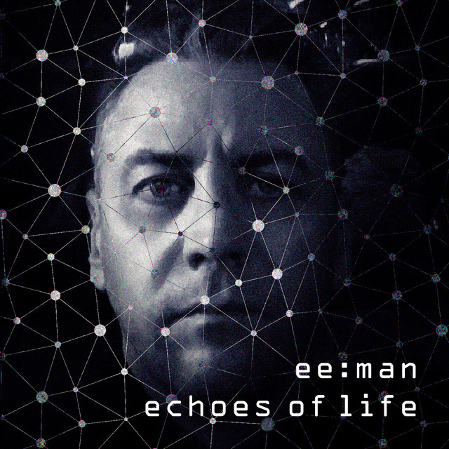 Echoes of Life cover art