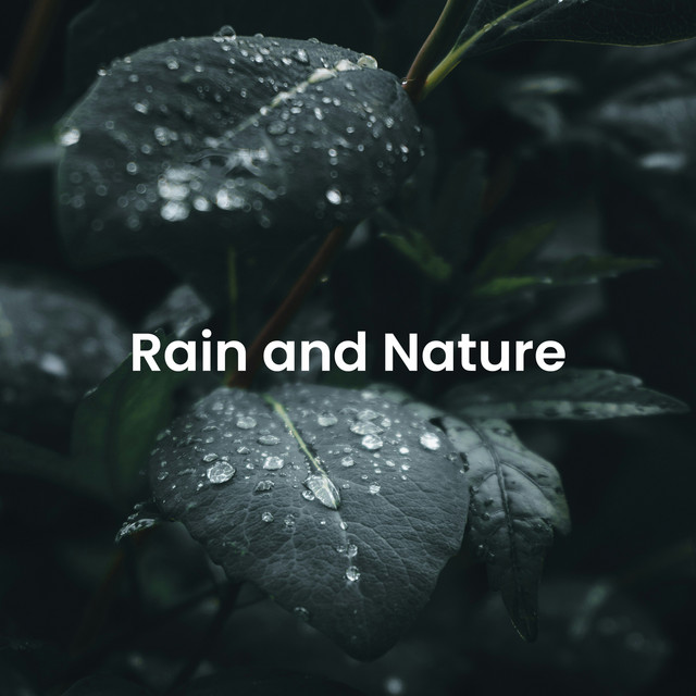 Natural Harmony: Relaxing Sounds of the Wilderness