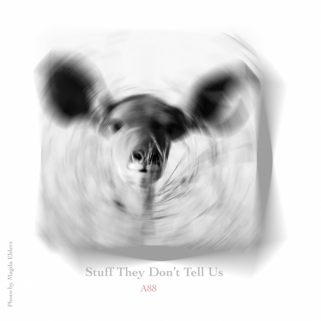 Stuff They Don't Tell Us cover