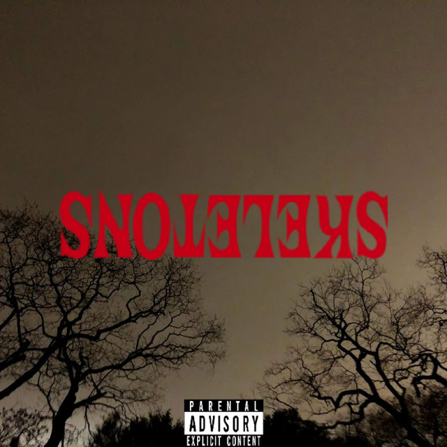 SKELETONS cover art