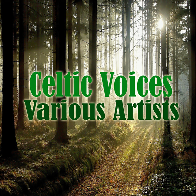 Celtic Voices - Man cover