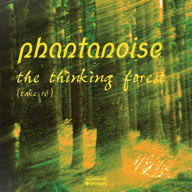 The Thinking Forest (take 16) - Single by Phantanoise | Spotify