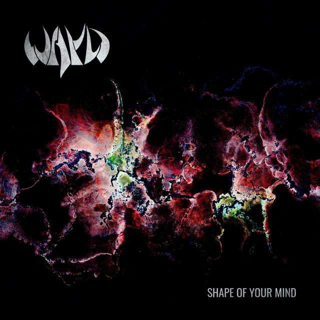 Shape of Your Mind cover art