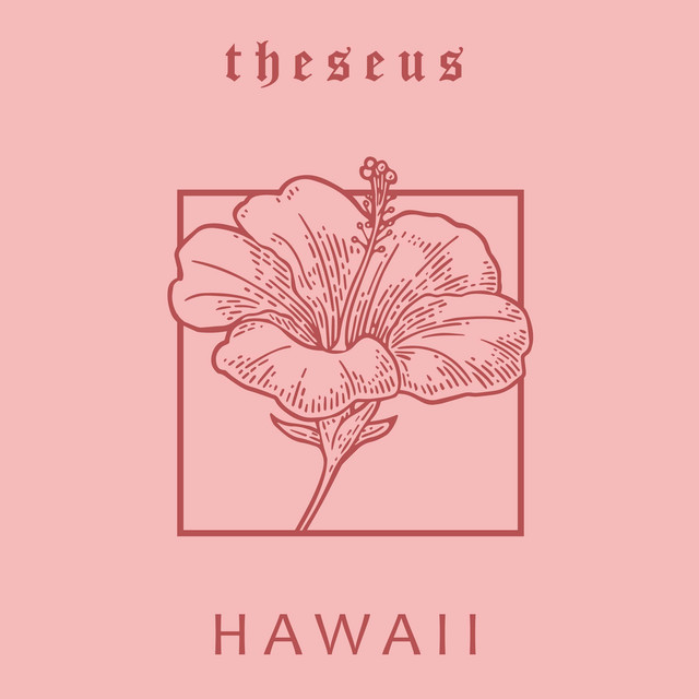 Hawaii cover