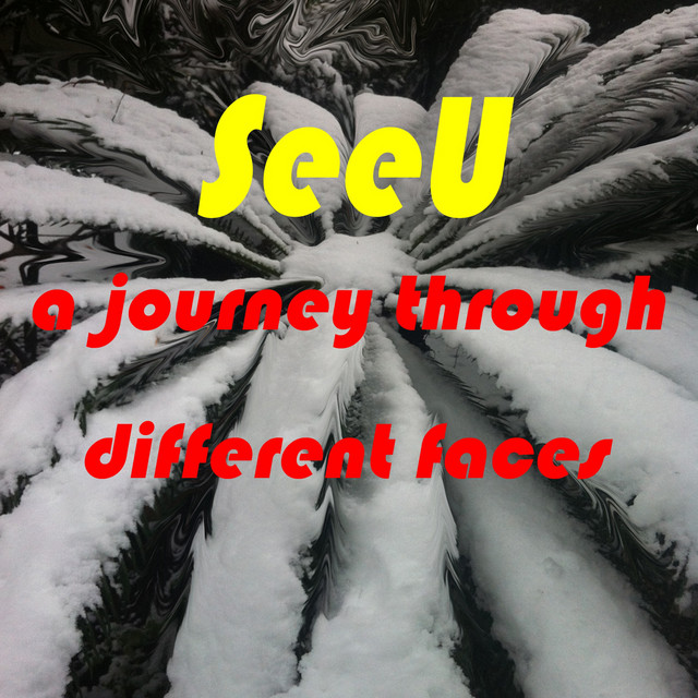 A Journey Through Different Faces cover art