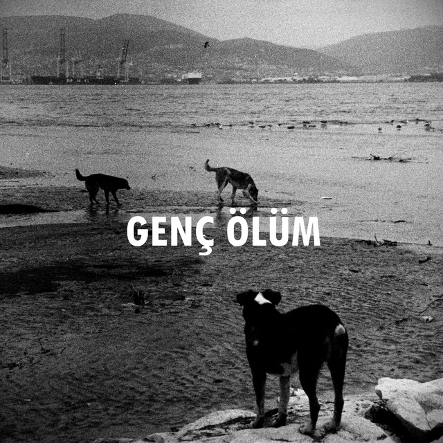 Genç Ölüm cover
