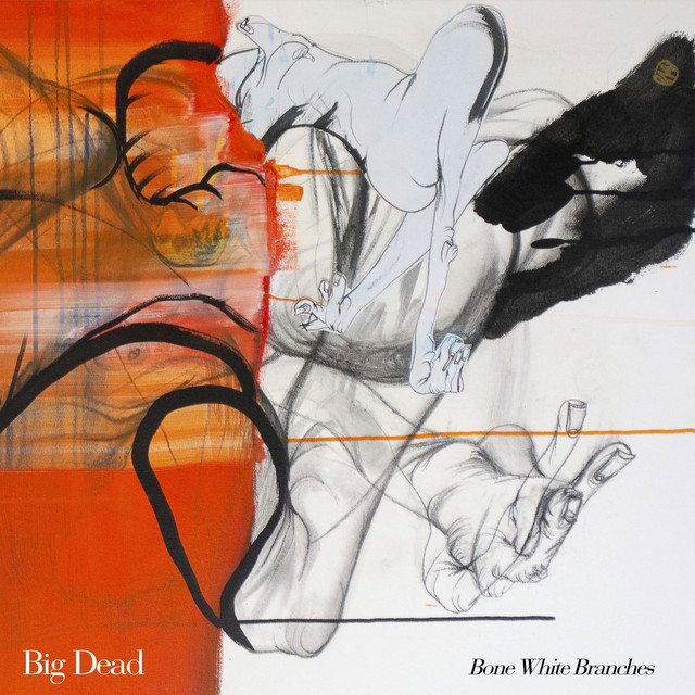 Big Dead Photo