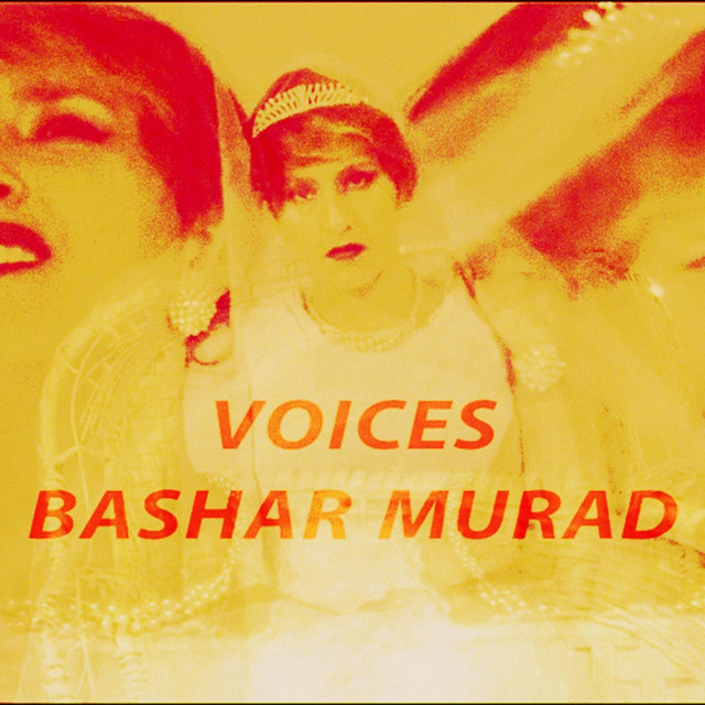 Voices cover art