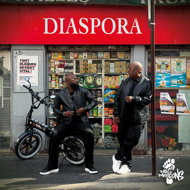 undefined album image