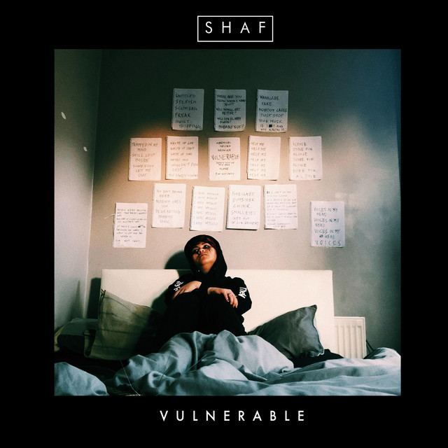 Vulnerable cover art