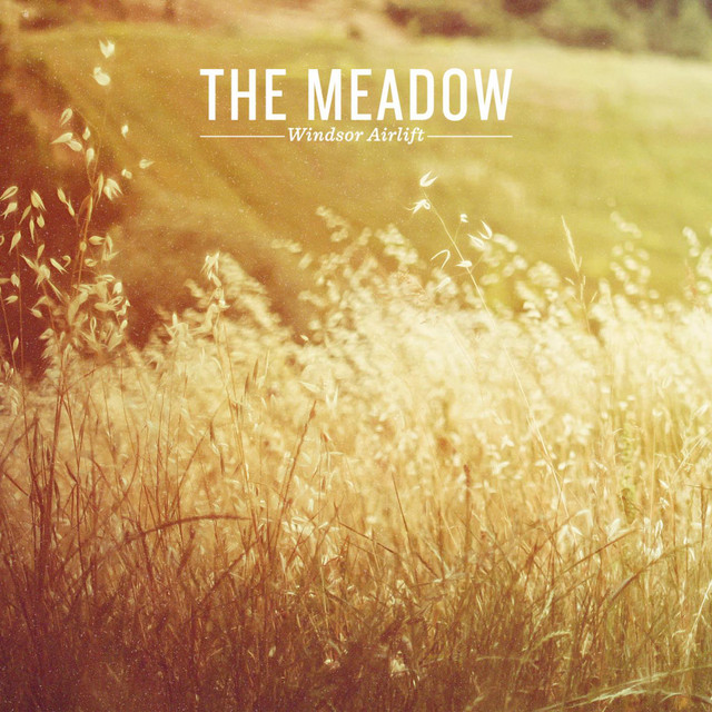 The Meadow cover art