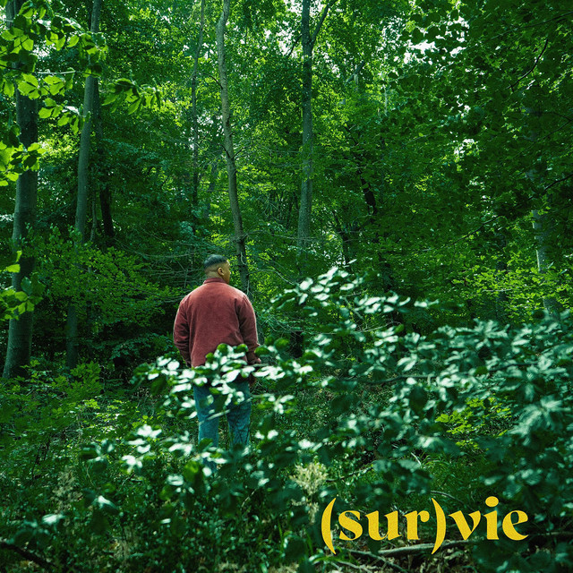 (Sur)Vie cover art