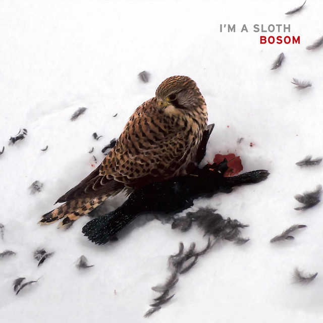 Bosom cover art