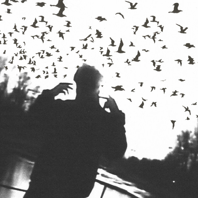 Птички cover art