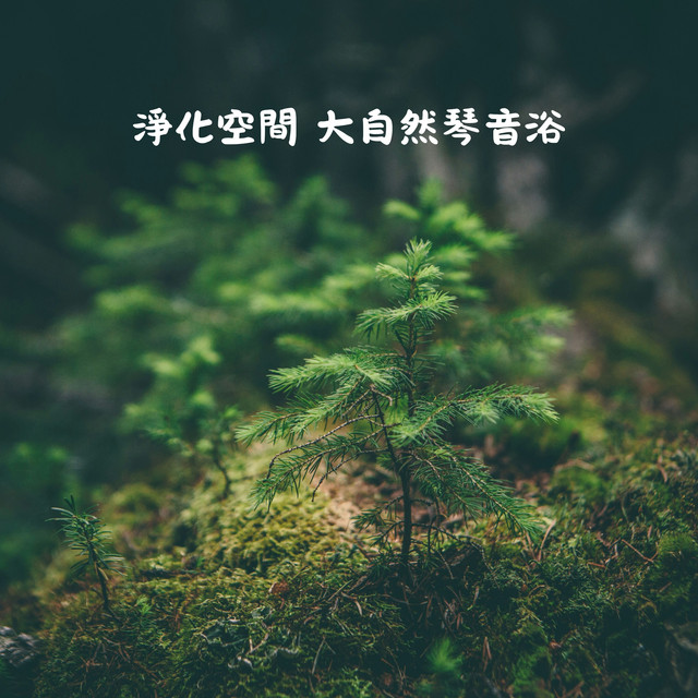 淨化空間 大自然琴音浴 cover art